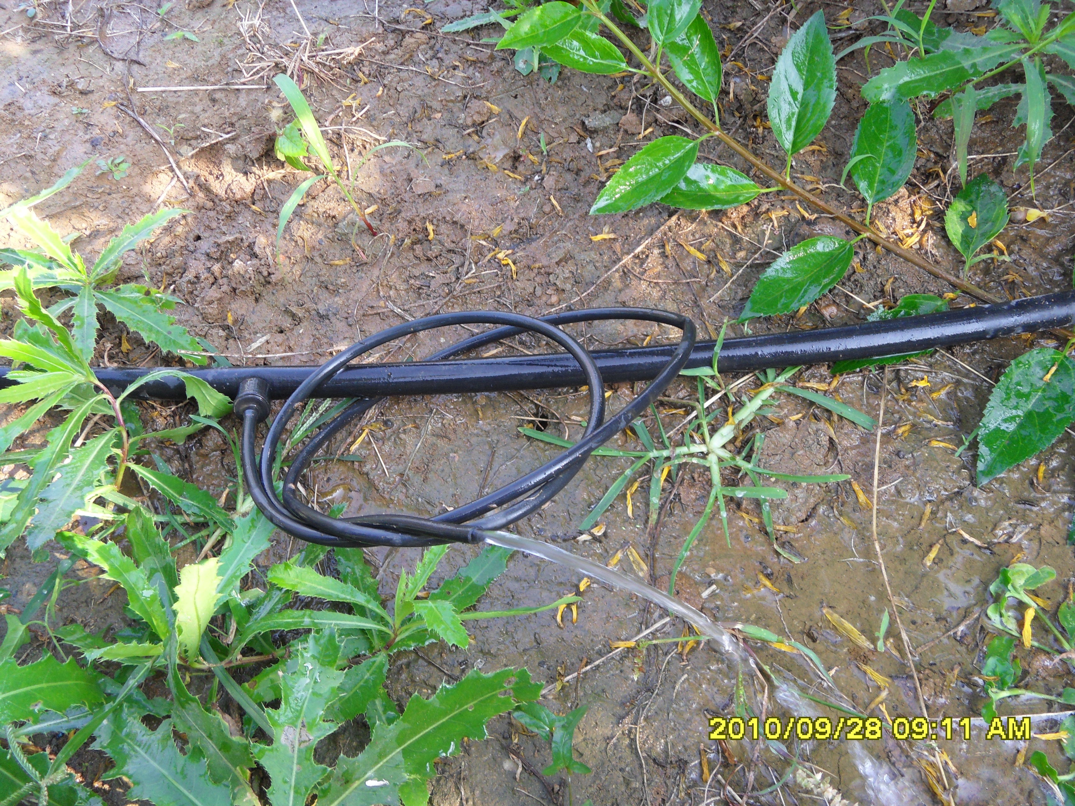 ����������鿴��ϸ��Ϣ