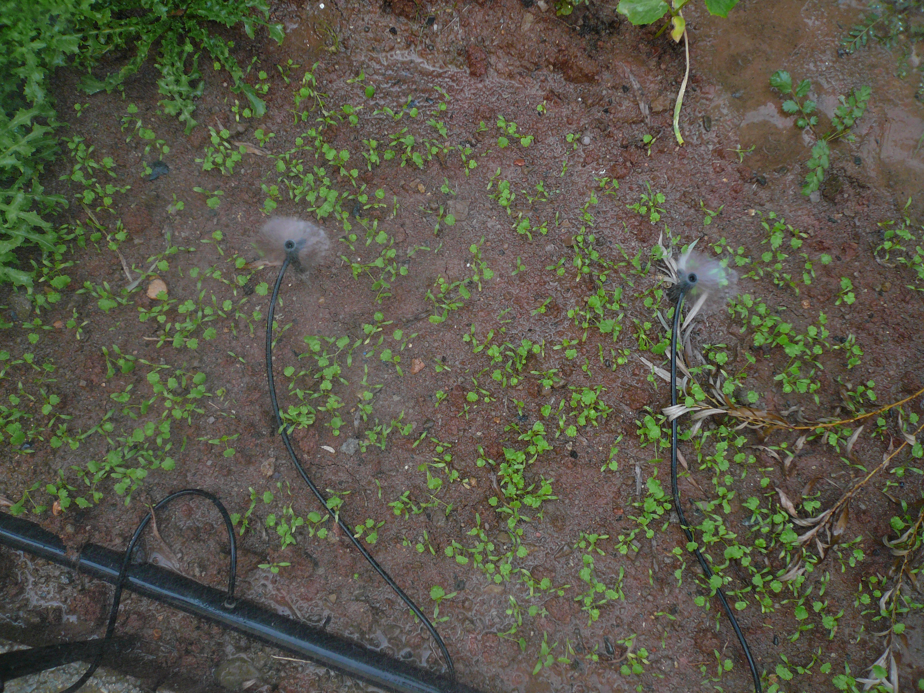 ΢�����鿴��ϸ��Ϣ