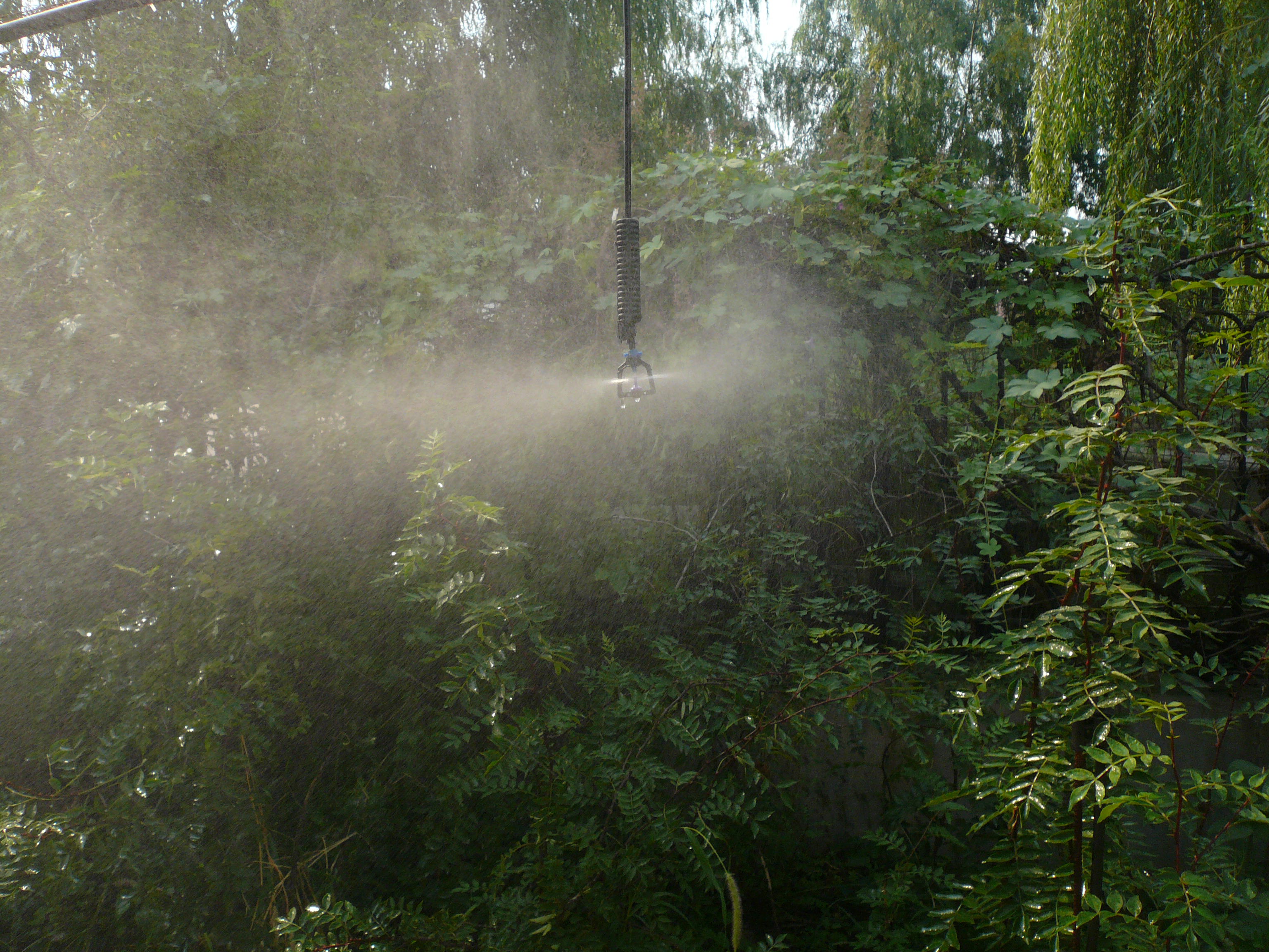 ����΢�����鿴��ϸ��Ϣ