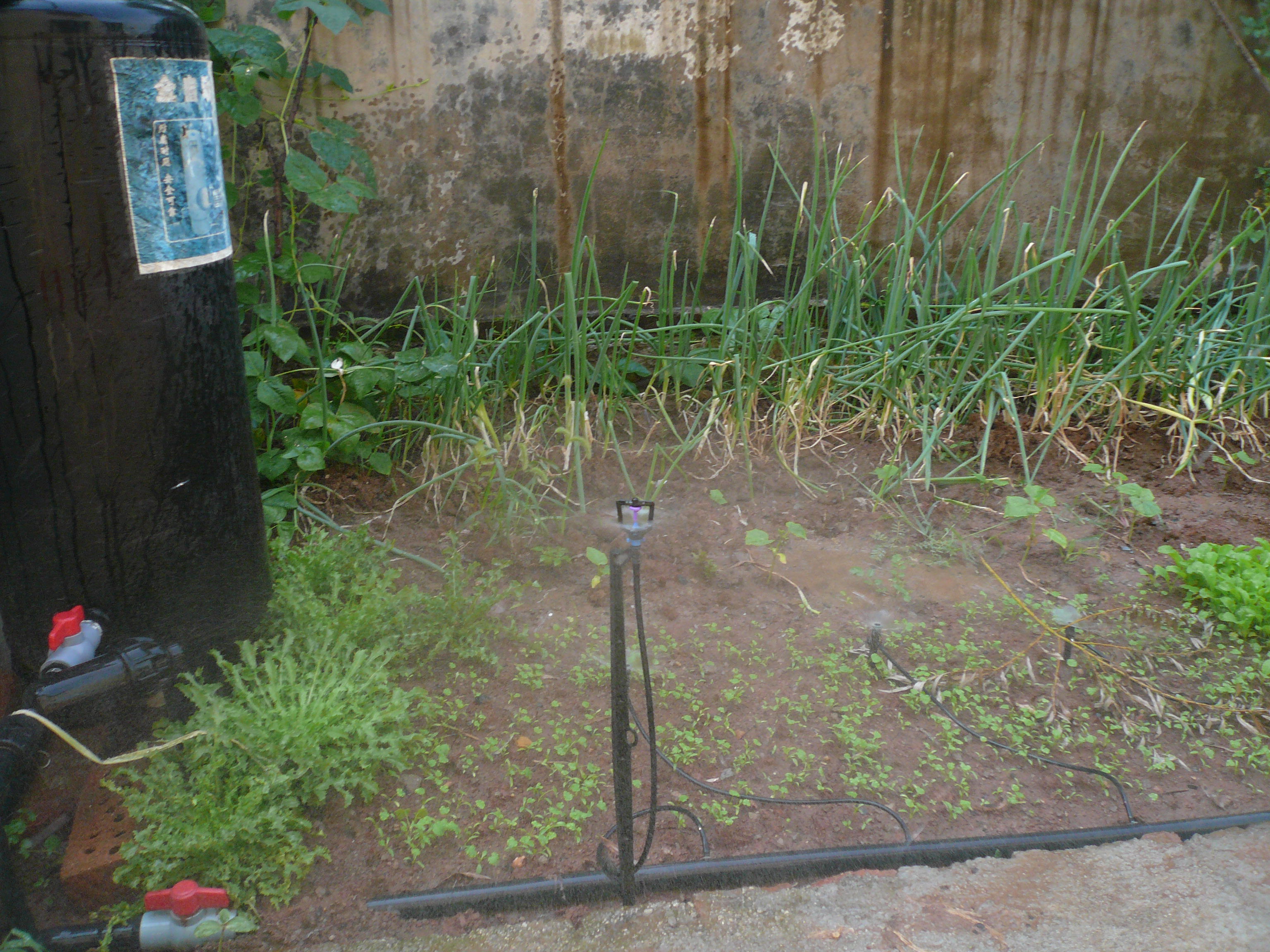 �ز�ʽ΢�����鿴��ϸ��Ϣ