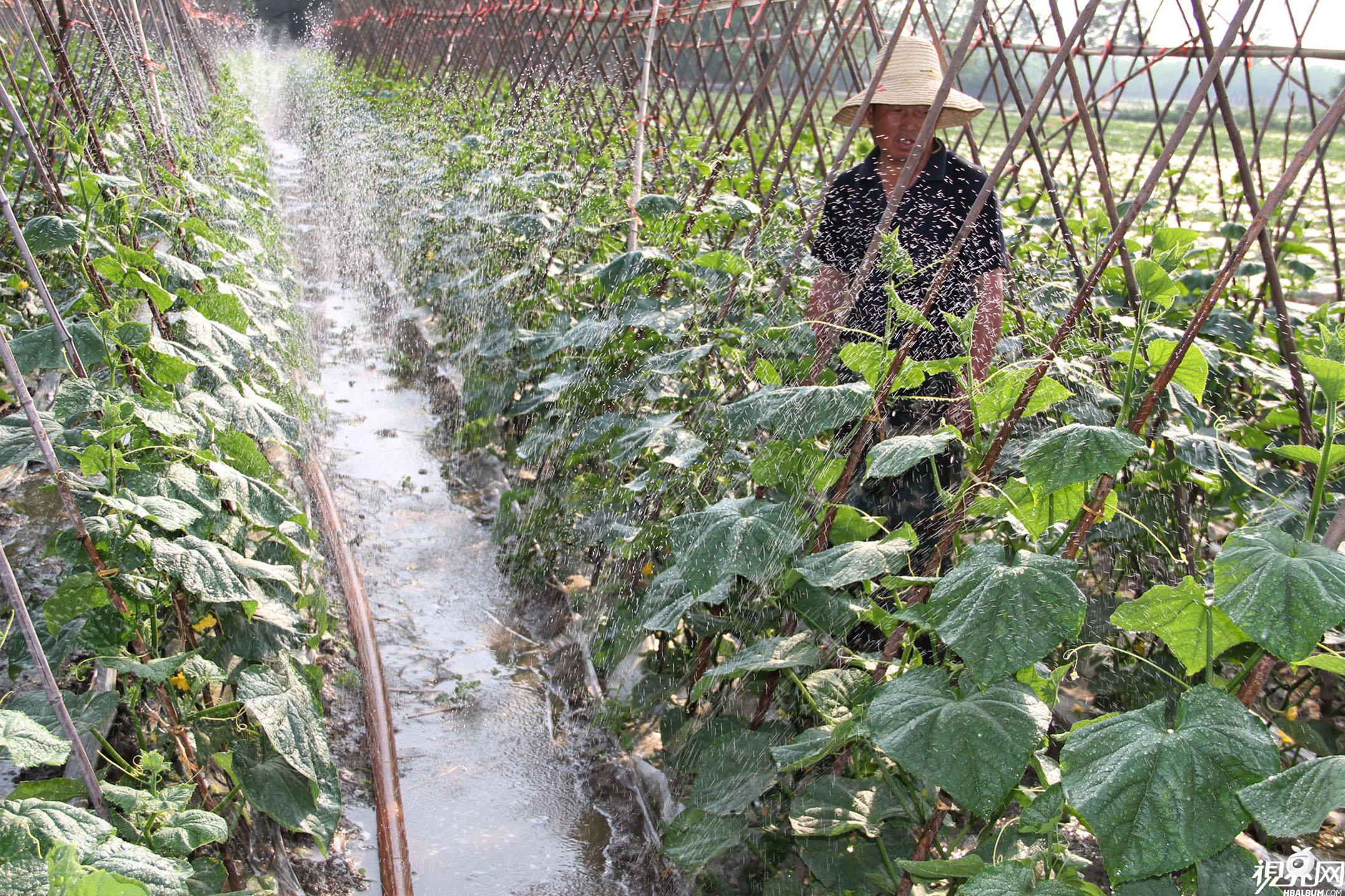 ������鿴��ϸ��Ϣ