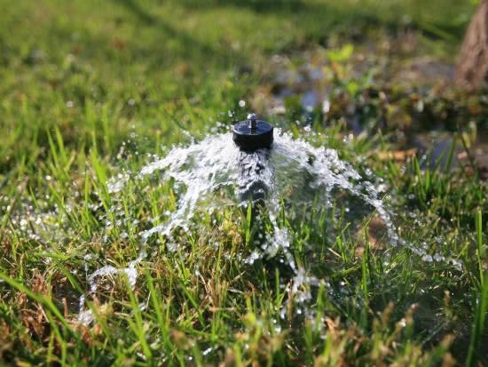 ������鿴��ϸ��Ϣ