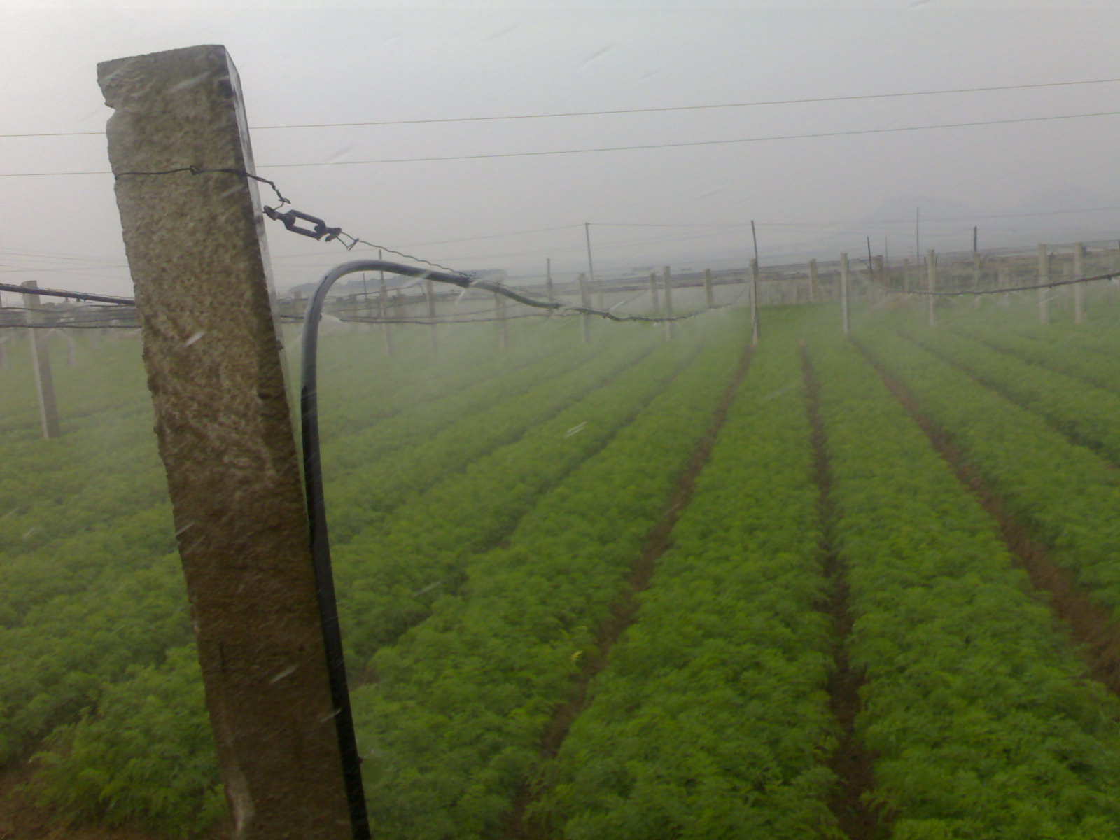 ������鿴��ϸ��Ϣ