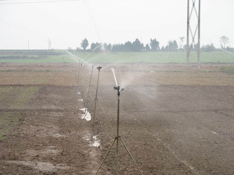 ������鿴��ϸ��Ϣ