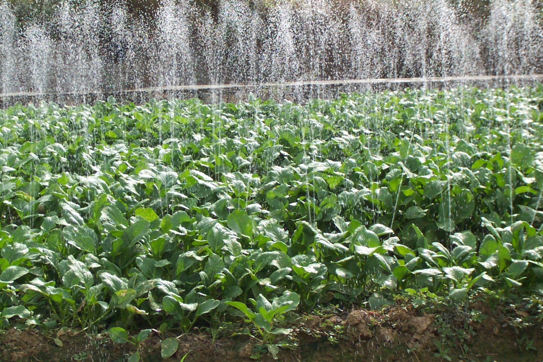 ������鿴��ϸ��Ϣ