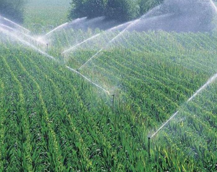 ������鿴��ϸ��Ϣ