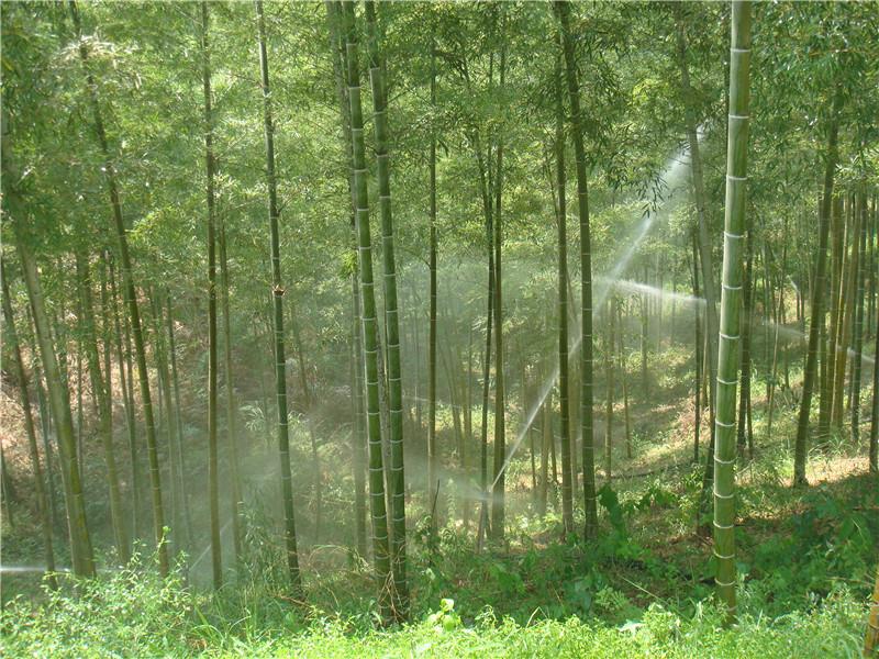 ������鿴��ϸ��Ϣ