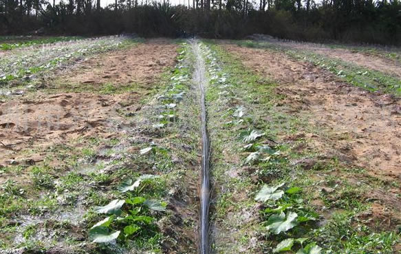 ������鿴��ϸ��Ϣ