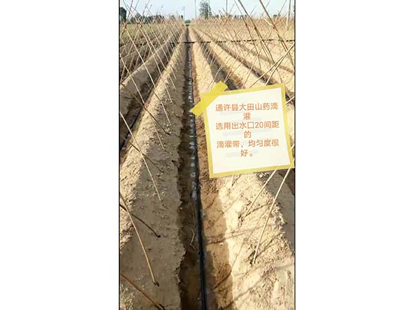 �ι����鿴��ϸ��Ϣ