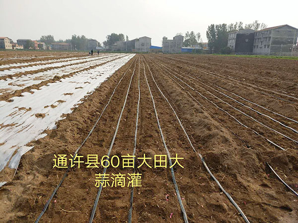 �ι����鿴��ϸ��Ϣ