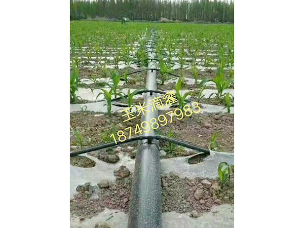 �ι����鿴��ϸ��Ϣ