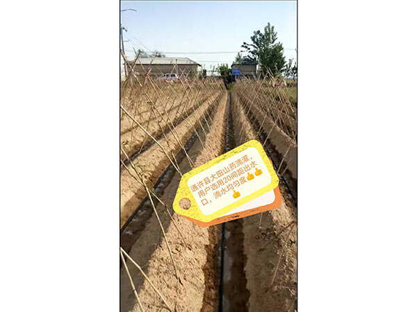 �ι����鿴��ϸ��Ϣ