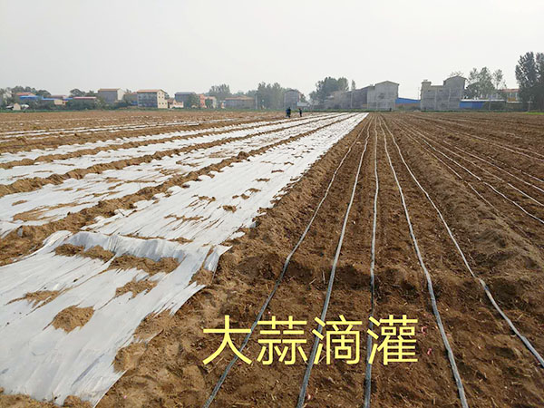 �ι����鿴��ϸ��Ϣ