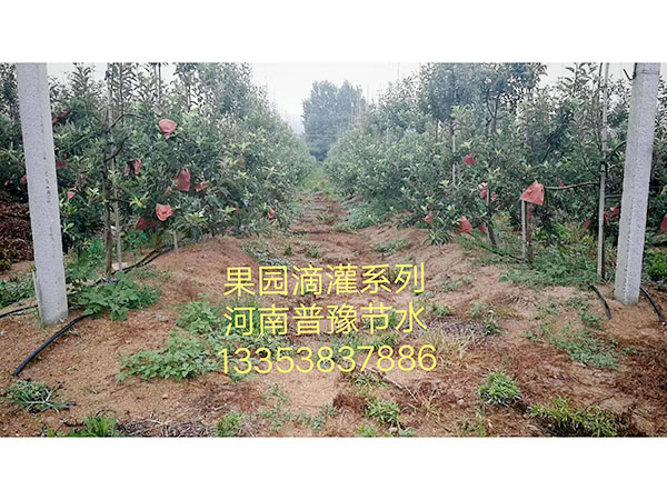 �ι����鿴��ϸ��Ϣ