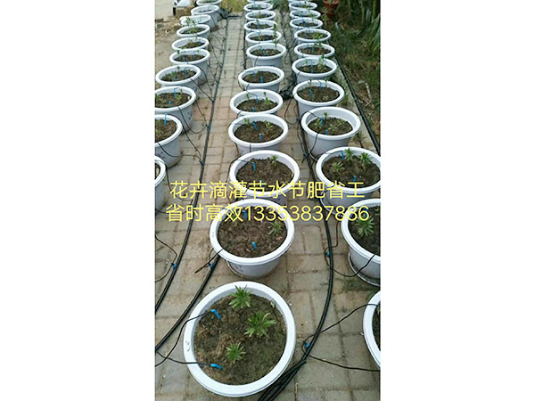 �ι����鿴��ϸ��Ϣ