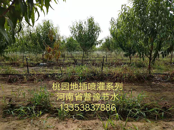 ������鿴��ϸ��Ϣ